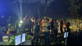 Ficus, Pohon Ajaib Redam Konflik Satwa dan Manusia di Hutan