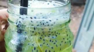 Resep Es Timun Serut Jeruk Nipis Segar Tanpa Sirup Cuma 2 Bahan