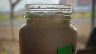 3 Bahan Membuat Thai Tea Segar Praktis