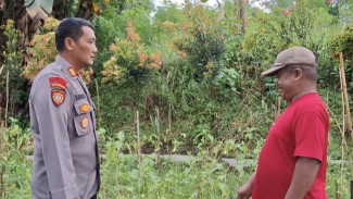 Teror Monyet Ekor Panjang di Jember, Enam Warga Jadi Korban Gigitan JEMBER