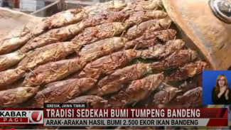 Warga Gresik Meriahkan Tradisi Sedekah Bumi dengan Arak-arakan 2.500 Ekor Bandeng