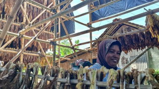 Pemkab Lumajang Salurkan Bantuan Dana 1,9 Miliar untuk Kelompok Rentan Buruh Tembakau