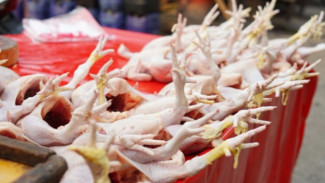 Mentan Pastikan Harga Ayam Stabil Untungkan Peternak Terjangkau Konsumen