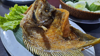 Resep Gurame Goreng Renyah Sambal Kecap, Hidangan Istimewa yang Mudah Dibuat