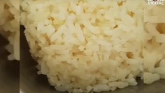 Menu MBG di SDN Bangkalan Ditemukan Ulat, Wakil Bupati Prihatin dan Surati BGN