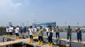 Tanam 215 Ribu Mangrove di 9 Pesisir, Pelindo Berdayakan Ratusan Warga Lokal!