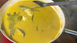 Resep Gulai Ikan Patin Riau Lembut dan Segar!