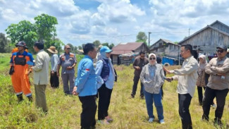 Menteri LH Kirim Tim Analisis Karhutla di Kalimantan Selatan