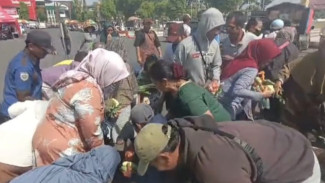 Warga Jember Berebut Sayuran Gratis dari Petani, Imbas Harga Anjlok di Tingkat Petani Namun Naik di Pasaran