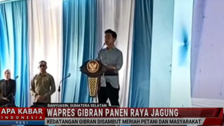 Wakil Presiden Gibran Kunjungi Banyuasin: Soroti Produksi Beras Tertinggi dan Peran Penting Irigasi Modern