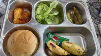 BGN Jelaskan Alasan Penyerapan Anggaran Program Makan Bergizi Gratis Masih Rendah