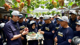 Karang Taruna Sukahati Jadi Role Model Pertanian Anak Muda Indonesia!
