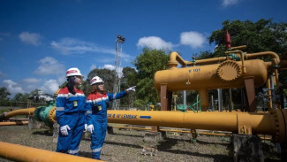 Pupuk Indonesia Gelontorkan Rp54 Triliun untuk Revitalisasi Pabrik Pupuk