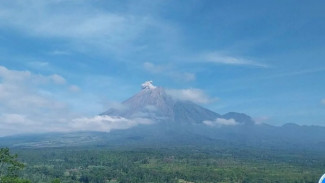 Gunung Semeru Kembali Erupsi, Kolom Abu Capai 600 Meter