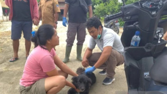 Dinas Peternakan OKU Timur Siapkan 2.000 Dosis Vaksin Anti Rabies Gratis untuk Hewan Peliharaan