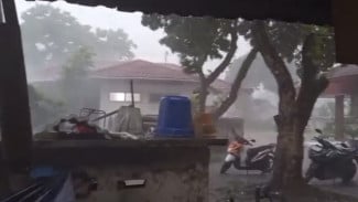 Angin Kencang dan Hujan Deras Terjang Jember, Pohon Tumbang dan Genteng Rumah Warga Berhamburan