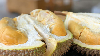 Rekomendasi Menu Olahan Durian Unik, Enak, dan Mengenyangkan