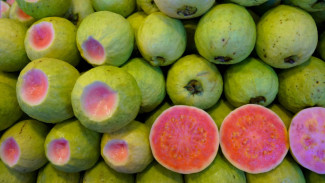 Tampil Beda, 2 Menu Olahan Jambu Biji Ini Juga Mengenyangkan