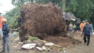 Tragedi di Tengah Hujan Deras, Ayah dan Anak Tewas Tertimpa Barongan Bambu di Jember