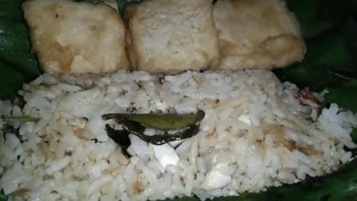 Resep Nasi Bakar Santan Gurih Bisa Jadi Ide Jualan Unik