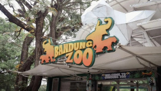 Bandung Zoo Buka Kembali untuk Pelajar, Tampilkan Wajah Baru yang Lebih Ramah Satwa