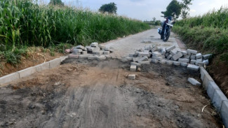 Pavingisasi Dari Dinas Pertanian & Pangan di Bajulmati Mangkrak, Pekerja Kabur Karena Upah Terlalu Murah