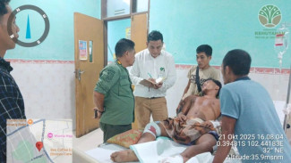 Dua Harimau Sumatera Serang Warga Inhu, Diduga Sedang Latih Anak Berburu