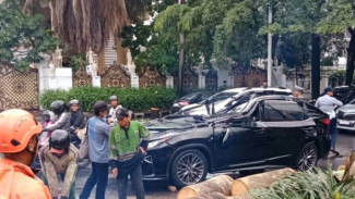 Imbas Tragedi Maut Pondok Indah, Polisi Minta Pohon Rawan Segera Dipangkas
