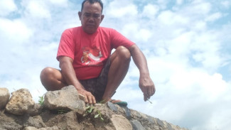 Proyek Plengsengan Diduga Asal-Asalan di Bajulmati, Susunan Batu Mudah Rontok