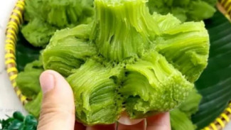 Resep Bikang Mekar Sempurna