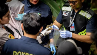 Polisi Temukan Rahang Bawah Diduga Milik Alvaro Saat Penyisiran Ulang di Kali Cilalay