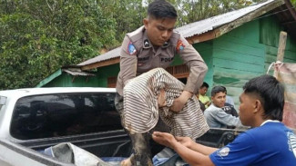 Akibat Longsor dan Banjir Bandang, Polres Tapanuli Utara Sebut Ada 9 Orang Meninggal Dunia
