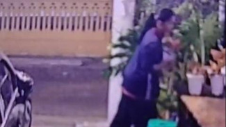 Pencuri Aglonema Wulandari tertangkap CCTV, Ibu-Anak Beraksi di Jalan Cokro
