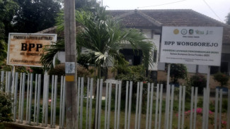 BPP Wongsorejo: Saya Jadi Tempat Curhat Ratusan Petani di Wongsorejo Soal Kelangkaan Pupuk