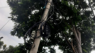Bahaya Kabel Semrawut! Pengusaha WiFi di Wongsorejo Abaikan Keselamatan Demi Cuan