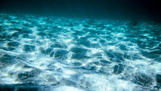 Penemuan Mengejutkan, Oksigen Gelap dari Dasar Laut