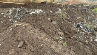 Tanah Uruk KDMP Bajulmati Bercampur Plastik & Lumpur, Bahaya Jangka Panjang?