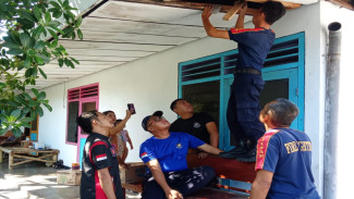 Sarang Tawon di Rongga Kayu Plafon Rumah Dievakuasi Damkar, Anak Kecil Jadi Korban Sengatan