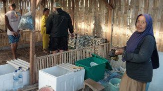 Cuma Rp2 Ribuan! Telur Bebek Bumdes Bajulmati Super Terjangkau