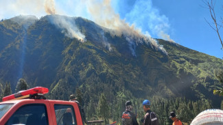 Kebakaran Hutan di Kawasan Bromo Sukapura Belum Padam, Api Berkobar Lebih dari 21 Jam