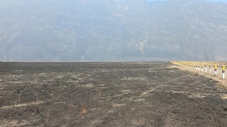 Kawasan Bromo Mulai Bebas Api, Wisata Seruni Point dan Bromo Sky Bridge Masih Ditutup