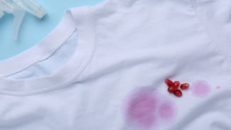 Kimia vs Organik: Mana Ampuh Atasi Noda Kuning Baju Putih?