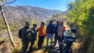 Kebakaran Hutan di Wonokerso Probolinggo Bakar 11 Hektare, Api Padam Pukul 10.36 WIB