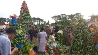 Mango Carnaval of Indonesia Digelar, Mangga Probolinggo Punya Nama Besar, Bagaimana dengan Keuntungan Petaninya?