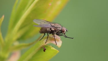 img_title