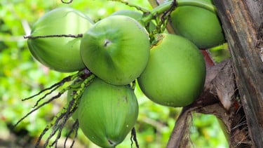 img_title
