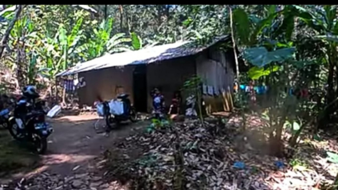 Rumah Sekeluarga di Jember yang tinggal di hutan tanpa aliran listrik