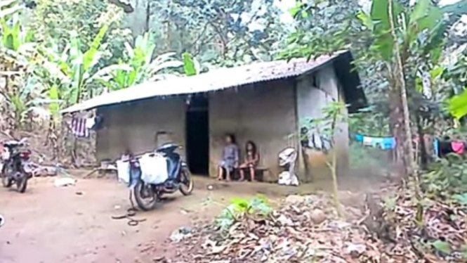 Rumah satu keluarga di Jember milih tinggal di hutan