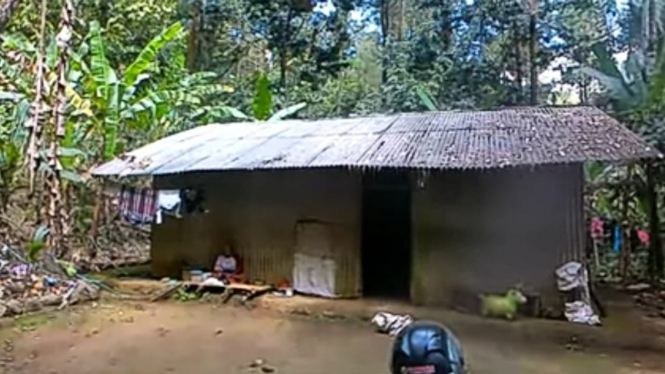 Rumah Suri Madin yang tinggal di hutan bersama keluarga
