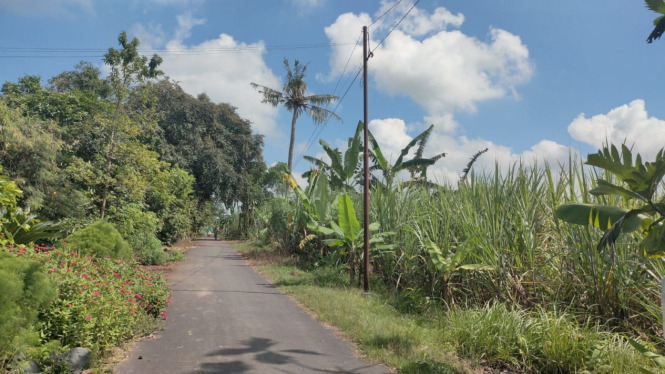 jalan masuk ke rumah warga dari jalan besar tempat meteran listrik